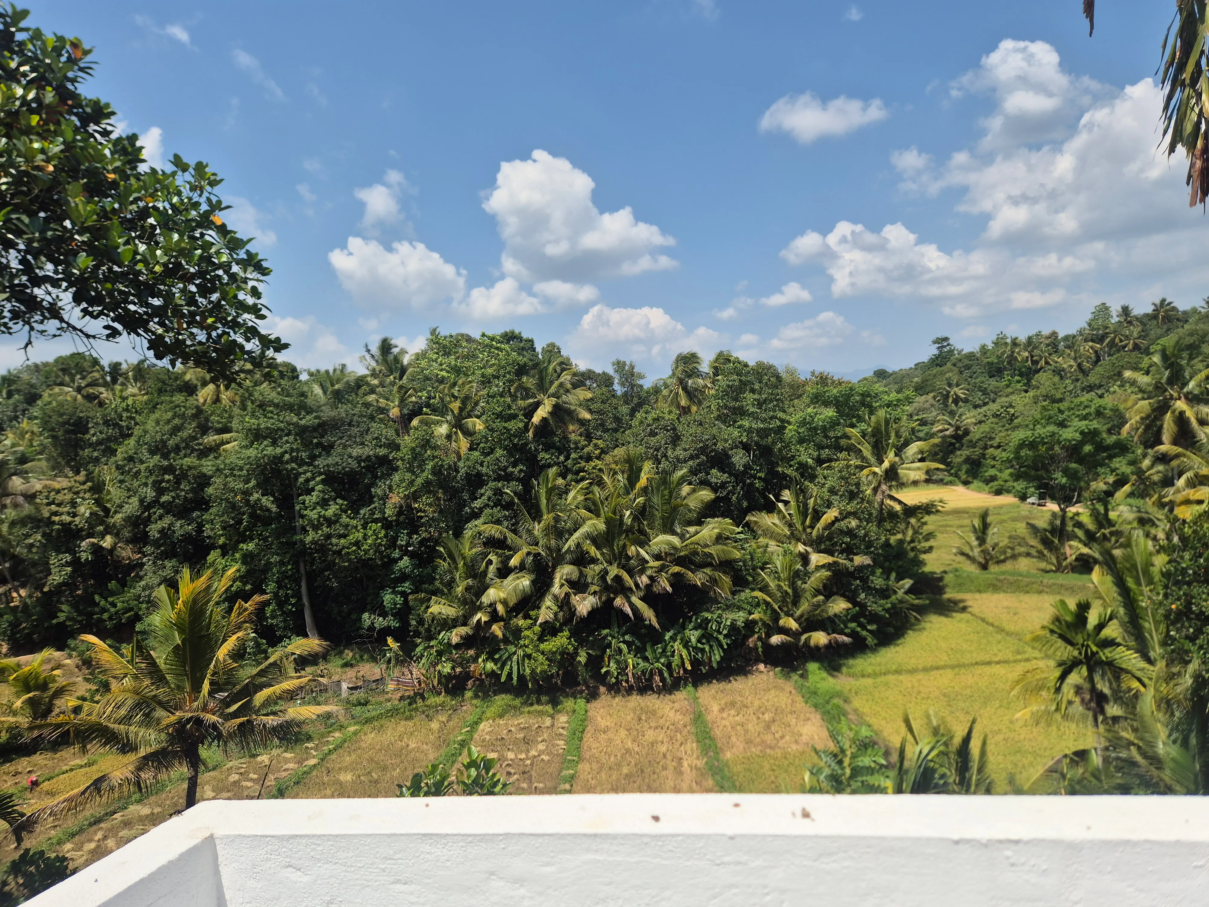 TenTwo rooftop terrace with panoramic views of Kandy Sri Lanka landscape